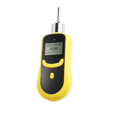 SKY2000 Portable Pumping CO Gas Detector with IP66 Protection and Optional Data Logging